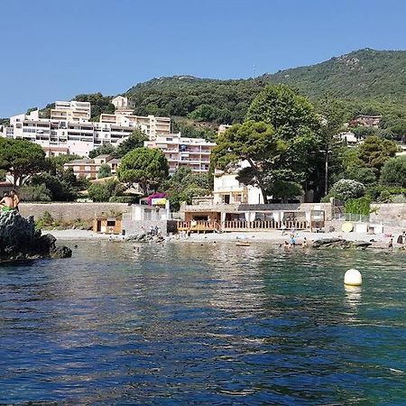 Charmant Studio Climatise Avec Parking, Au Coeur De Pietranera, Plage A 500M, Bastia A 2Km Ville-di-Pietrabugno 外观 照片